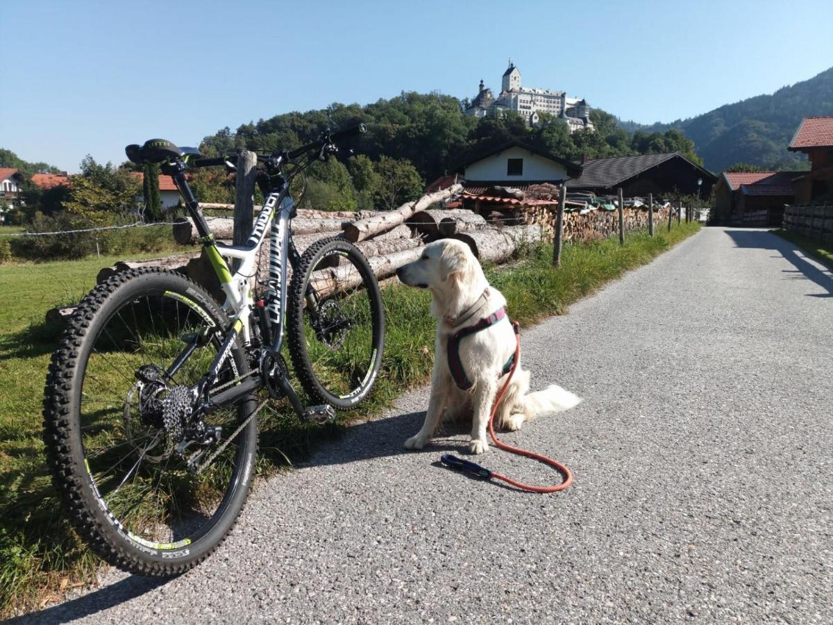 Ciao-Aschau Haus Zur Burg Ap102 Biedermann Διαμέρισμα Aschau im Chiemgau Εξωτερικό φωτογραφία